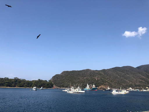 海と空と2匹の鳥