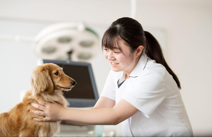 犬を掴む女性