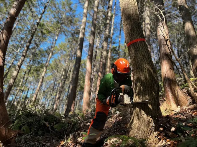 33haを誇る演習林が隣接する「岐阜県立森林文化アカデミー」で実践的なスキルが身に付く！5