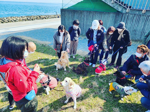 野外で交流する犬と人たち