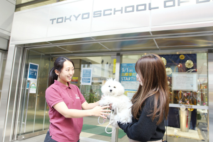 モデル犬の預かり