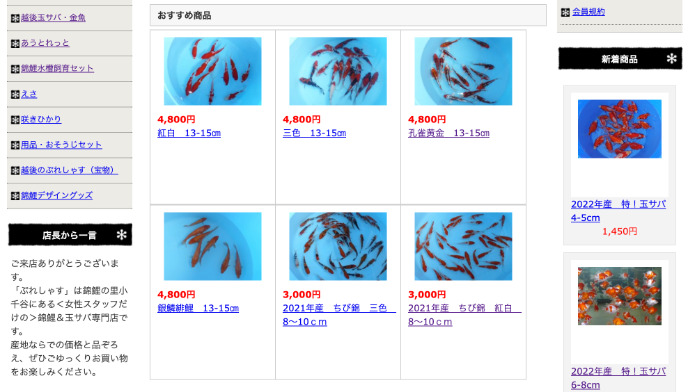 錦鯉販売のサイト画面