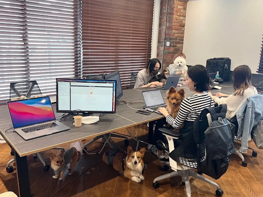 犬と一緒にオフィスで仕事する人々