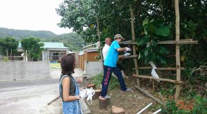 20707952_1855266384500561_8016609954328696644_n