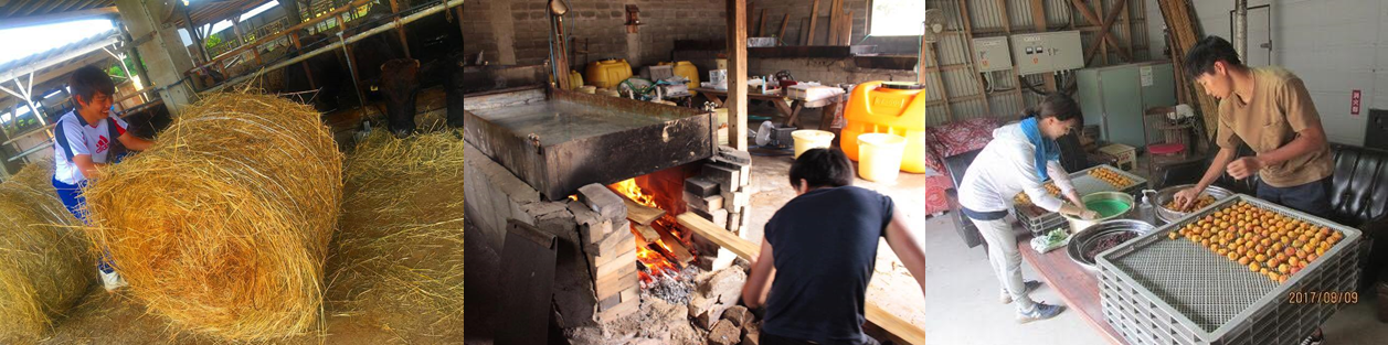 %e5%b3%b6%e3%82%ad%e3%83%a3%e3%83%b32017%e5%a0%b1%e5%91%8a